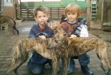 Fabian, Andre; Cindy und Casimir.jpg